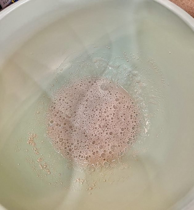 yeast in bowl